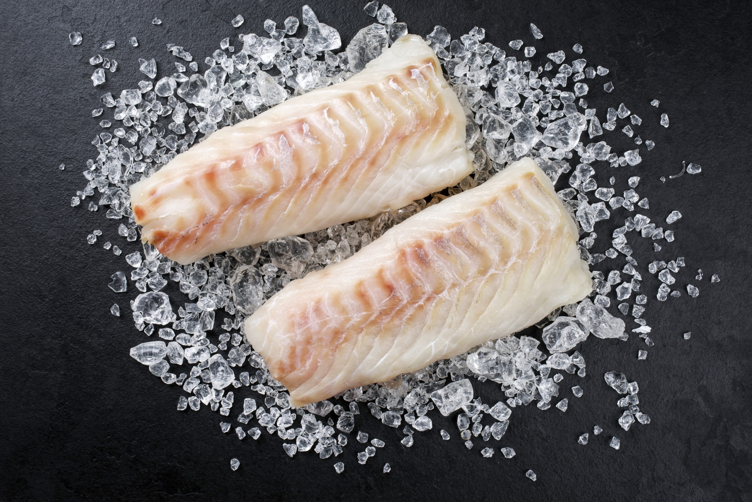 Raw Norwegian skrei cod fish filet as top view on crashed ice on